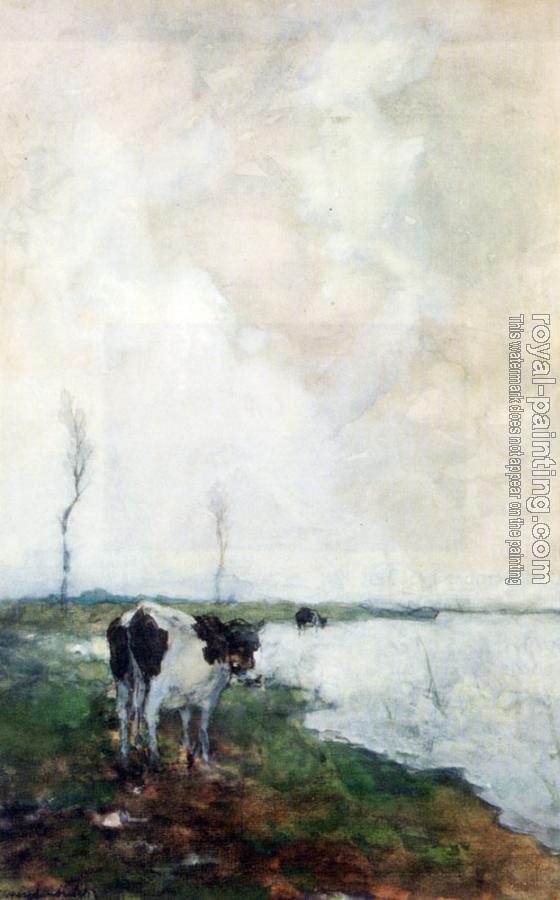 Jan Hendrik Weissenbruch : A Cow Standing By The Waterside In A Polder